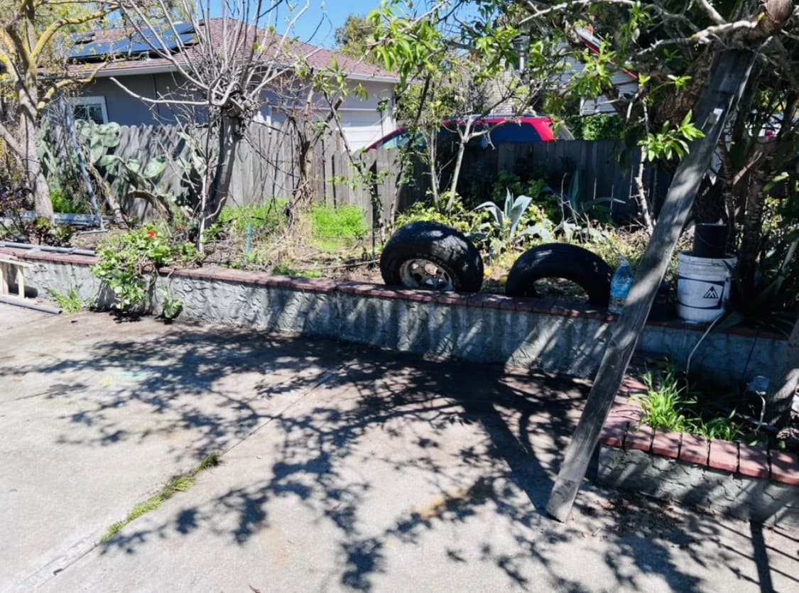 Juke Junk Removal project 42